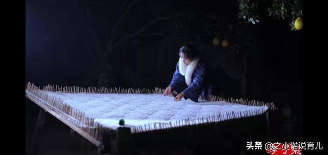 在家无聊怎么办（李子柒的厨房生活）