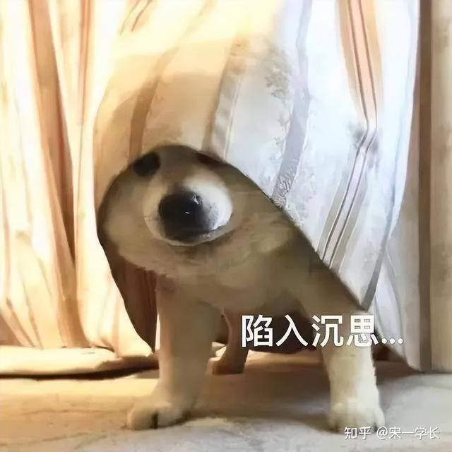 专科学历（你觉得专科生毕业后的发展怎么样？）