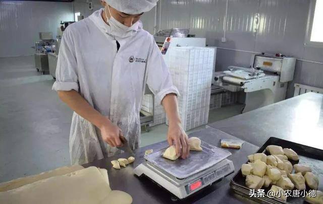 小型加工厂现项目（在村里开啥小型加工厂致富项目）