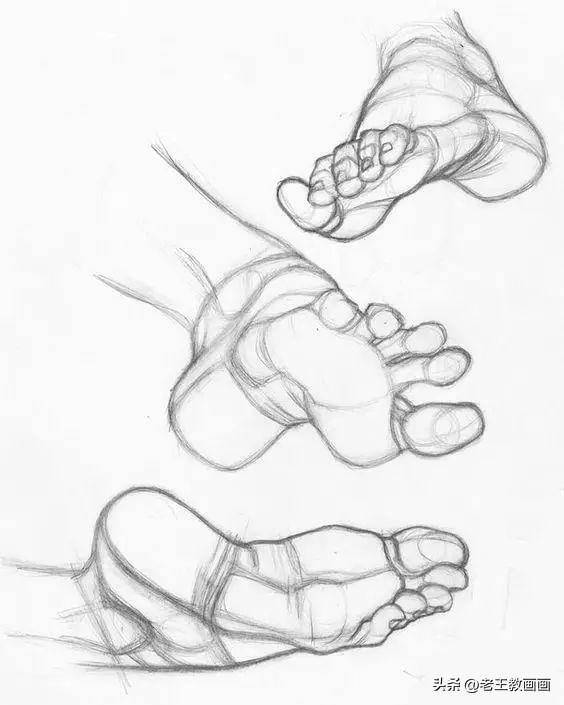 画画教学（50个素描基础教程）