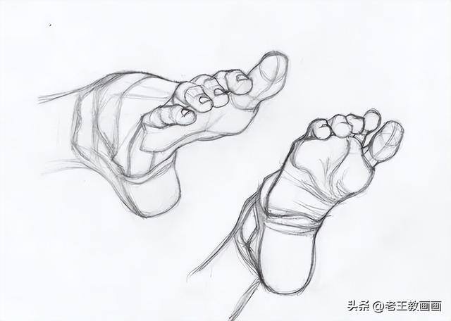 画画教学（50个素描基础教程）