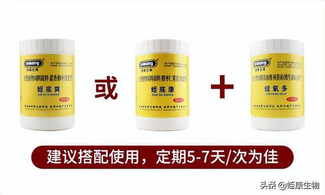 水蛭养殖要求（养殖水蛭的注意事项）