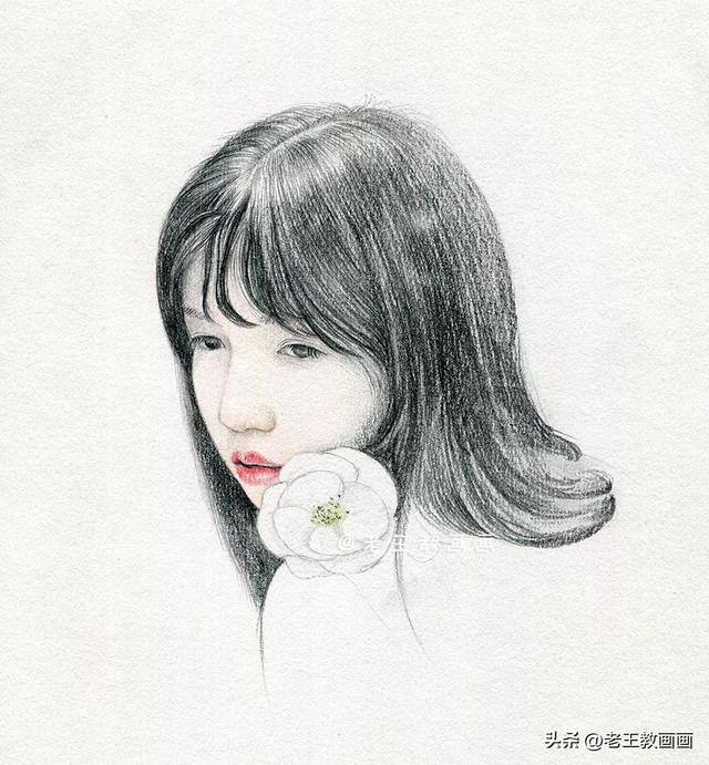 好看的画怎么画（彩铅人像使用工具）