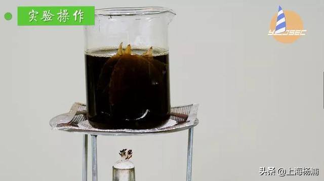用废旧物品做手工简单又漂亮（手把手教你做“叶脉书签”）