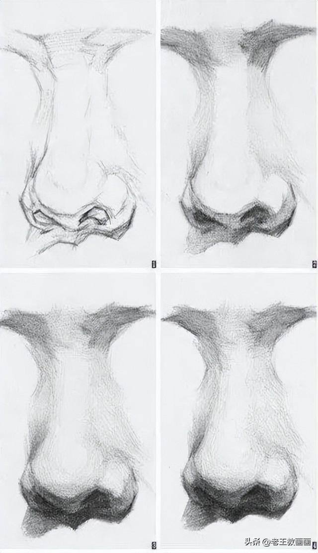 画画教学（50个素描基础教程）