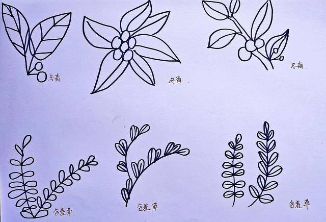 女孩的简笔画怎么画 简单又好看（绘画打卡第69天～今天一起来学习绘画“简笔画”）