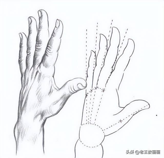 怎么学画画（素描入门教程）