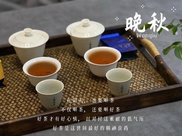 卖茶叶生意怎么样（岩茶小白的心得）