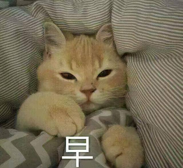 成人用品怎么卖赚钱?六个推广方法!（怎么做好一家成人用品淘宝店？）
