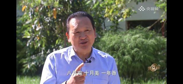 养多少鸡能赚20万（徐士乾养殖乌鸡失败，妻子的一句话，让他气走妻子）