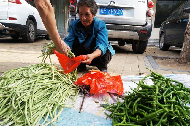 卖菜赚钱吗（农村人种菜赚钱吗？老农说，利润都被小贩给赚了去）