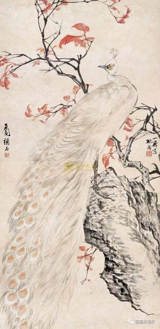 凤凰怎么画漂亮（沈一斋花鸟）