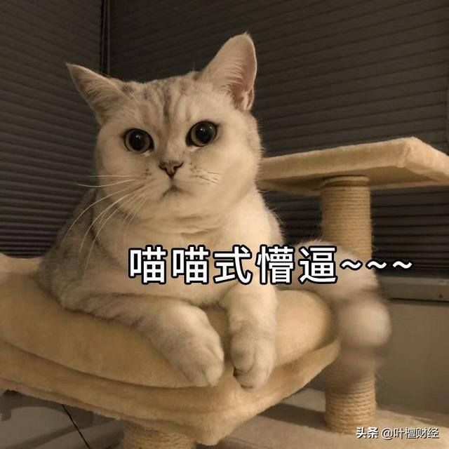 杨永兴十步尾盘买入法（股神李奥：曾经的富家子弟）