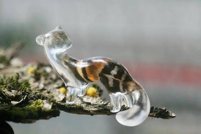 简易在家自制树脂（俄罗斯艺术家用透明树脂制作动物雕像，晶莹剔透，美到不行）