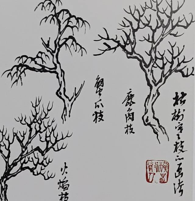 大树怎么画简单又好看（中国画画树的画法）
