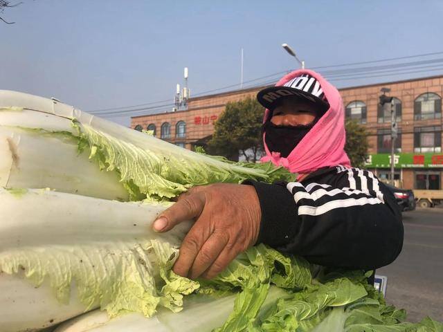 卖菜怎么样卖才能赚钱（一板车上卖白菜赚钱吗？）