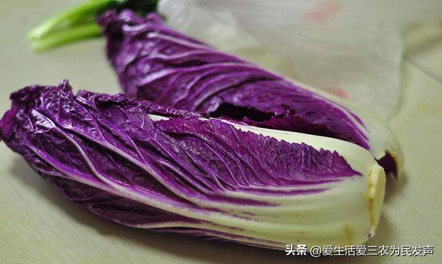 种什么菜好卖又赚钱（紫色白菜、紫色大白菜、紫色大白菜、紫色大白菜、紫色大白菜）