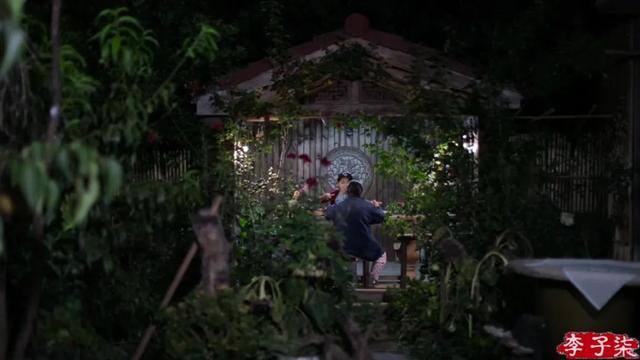 怎么拍视频（李子柒的美食摄影技巧）