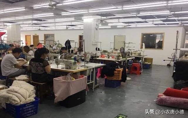 小型加工厂现项目（在村里开啥小型加工厂致富项目）