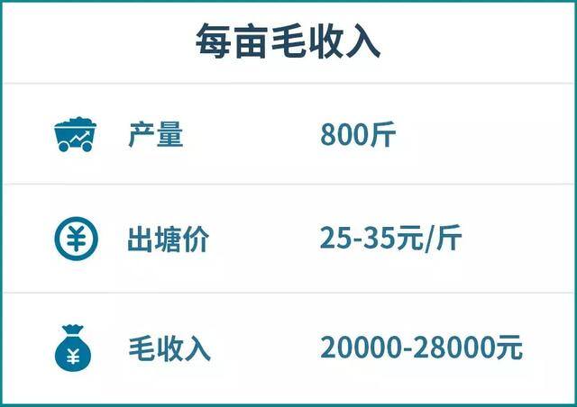 养对虾赚钱吗（养殖南美白对虾的投入和收益情况）