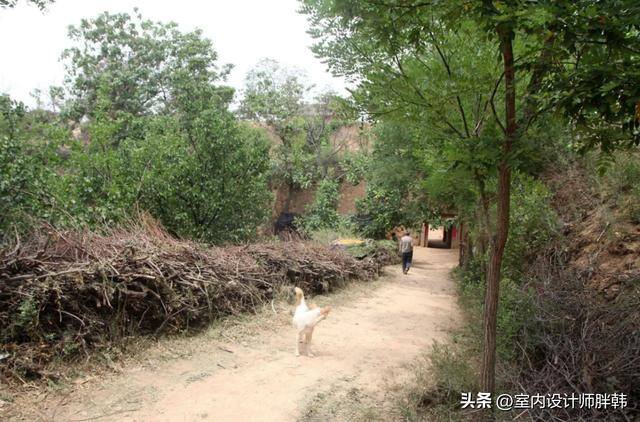 大门口种什么树对风水好又招财（农村俗语：“门前四树子孙富，五物进宅财源来”，什么意思？）
