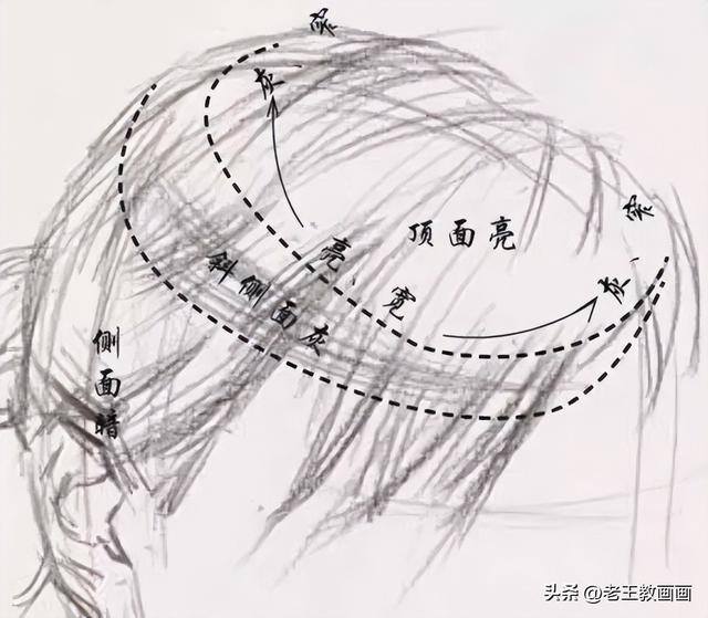 画画教学（50个素描基础教程）