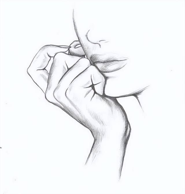 怎么学画画（素描入门教程）