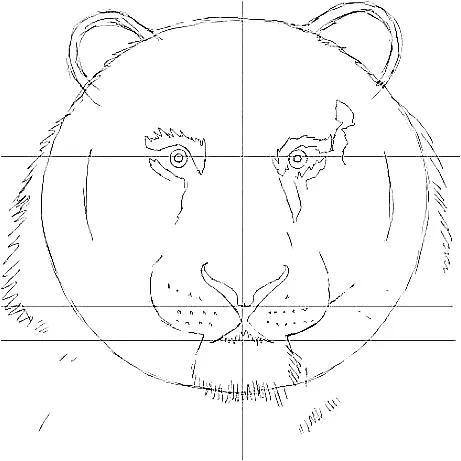 老虎怎么画好看又简单（简单易学的虎头画法）