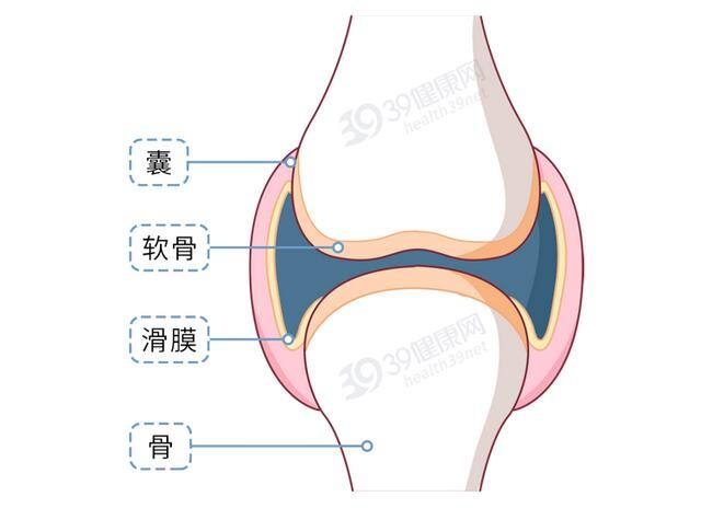 宫腔积液做什么运动最好排出（如何保护膝关节）