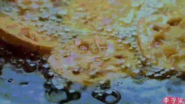 怎么拍视频（李子柒的美食摄影技巧）