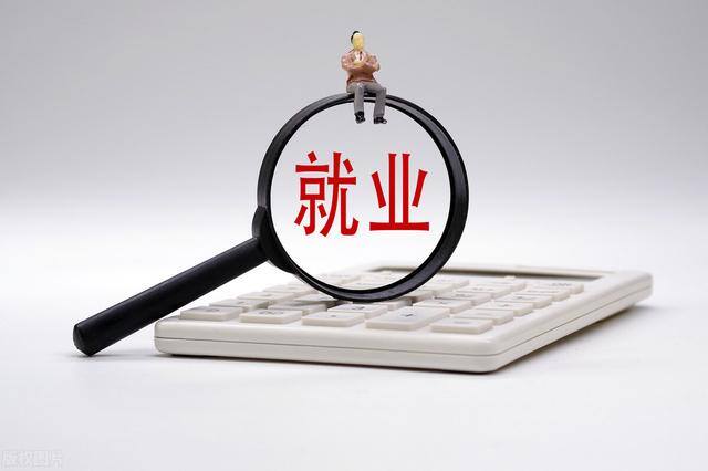 干什么工作挣的钱最多（民营企业为什么利润那么高？）