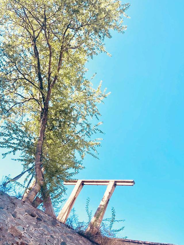 小县城最缺的生意（小城的商人们）