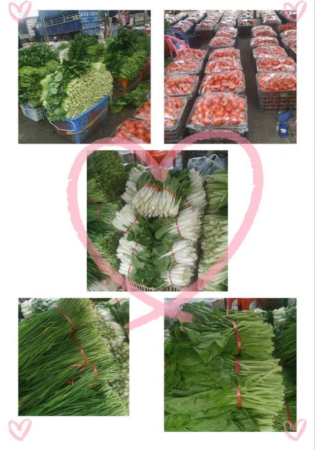 蔬菜批发生意新手怎么做（蔬菜批发生意如何赚钱？）