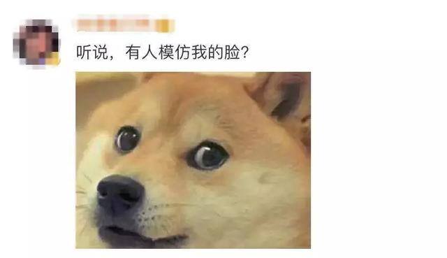 qq表情包怎么转到微信（微信上线多个新表情！你想要的都在这里！）