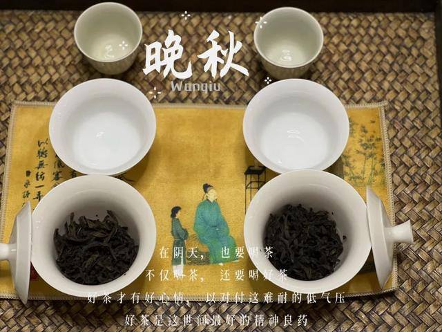 卖茶叶生意怎么样（岩茶小白的心得）