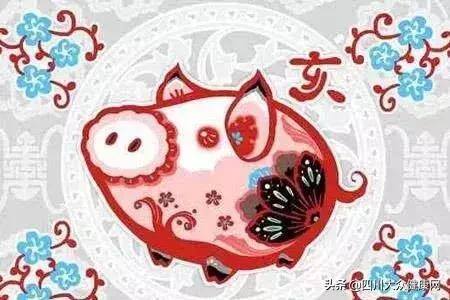 属猪做什么最容易发财（十二生肖最容易在这个月份发大财）