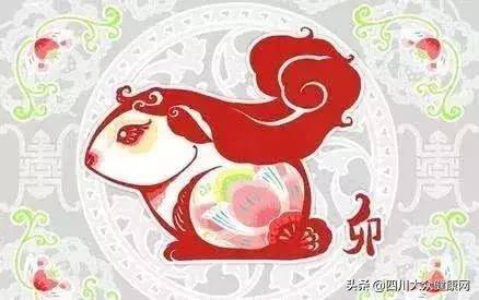 属猪做什么最容易发财（十二生肖最容易在这个月份发大财）