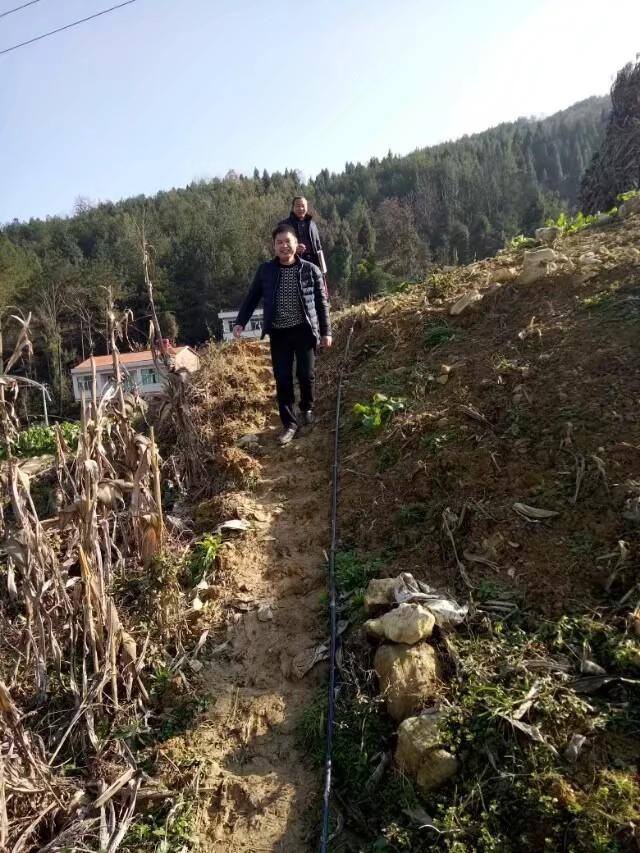 徐慧莹没钱怎么创业的（陈鹏：驻村扶贫队长）