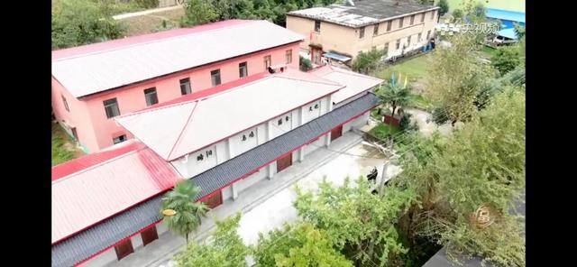 养多少鸡能赚20万（徐士乾养殖乌鸡失败，妻子的一句话，让他气走妻子）