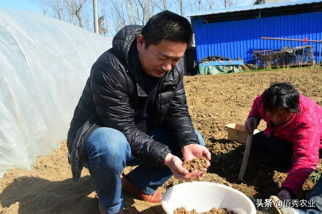 现在种植什么药材最赚钱（种植中药材赚钱吗？）