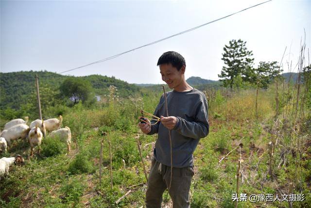 养100只羊一年能赚多少钱（回农村创业，买100只羊最少需要多少钱？）