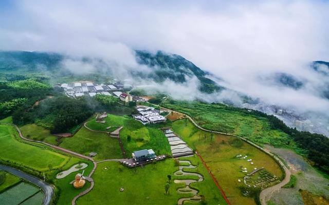 我在海岛种田发家致富（5本都市种田文，主角很理所当然地，小日子过得美滋滋）