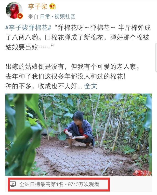 怎么拍视频（李子柒的美食摄影技巧）