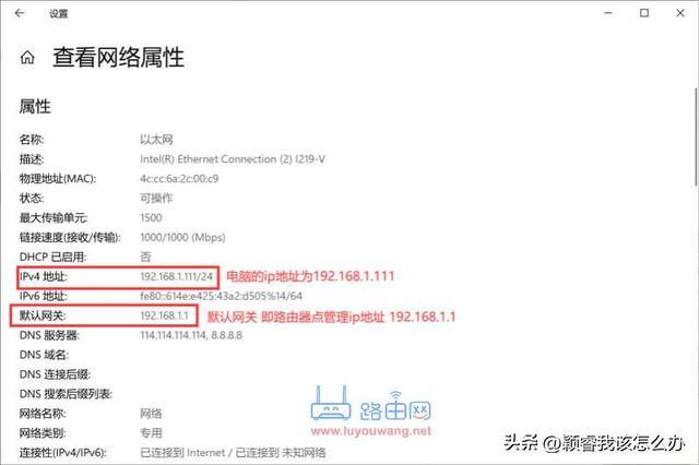 怎样查看电脑的ip地址（如何查看win7、win10、macos电脑ip地址）