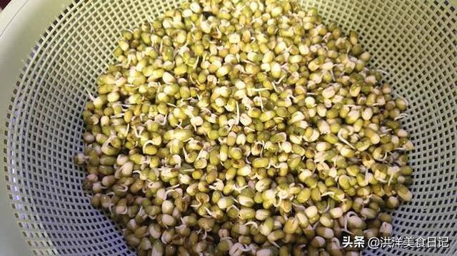 怎样发绿豆芽在家里（不用豆芽机发绿豆芽的高招，真的很简单哦！）