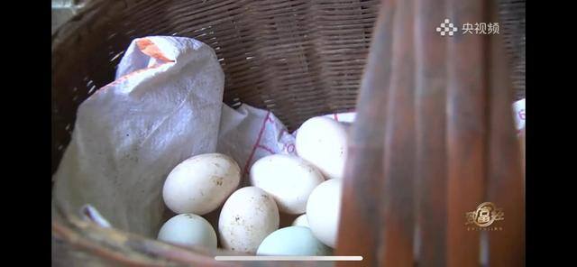 养多少鸡能赚20万（徐士乾养殖乌鸡失败，妻子的一句话，让他气走妻子）