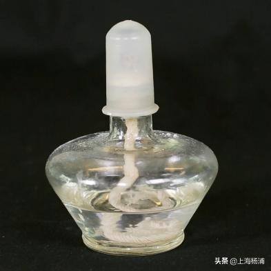 用废旧物品做手工简单又漂亮（手把手教你做“叶脉书签”）