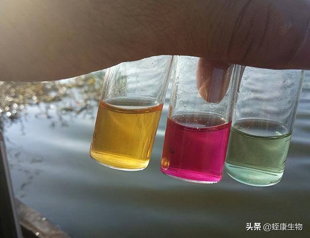水蛭养殖要求（养殖水蛭的注意事项）