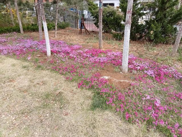 赚钱的门路（赚钱新门路）