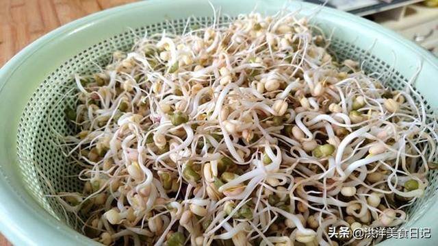 怎样发绿豆芽在家里（不用豆芽机发绿豆芽的高招，真的很简单哦！）